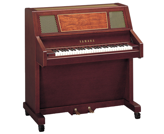  - 6546 за 0 грн. | 4Club